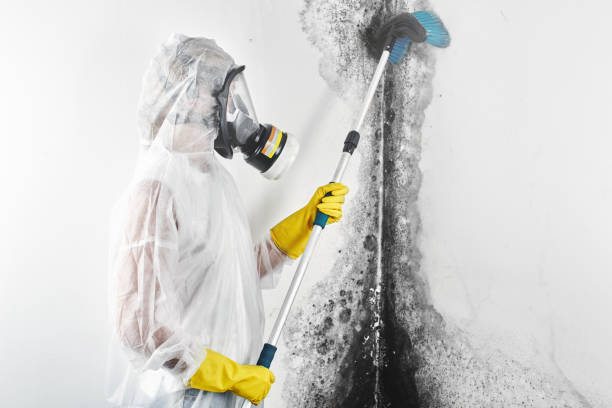 Mold Remediation for Vacation Homes in Glassboro, NJ