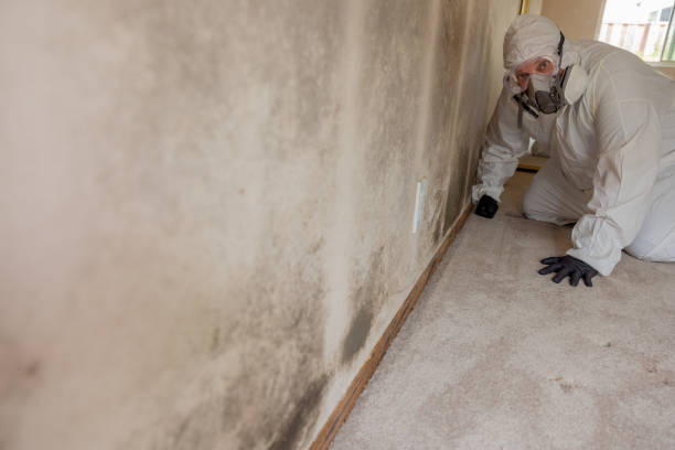 Best Mold Remediation for Healthcare Facilities  in Glassboro, NJ